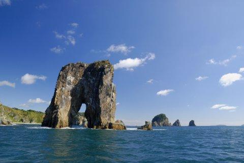 Заповедники Морские Фото